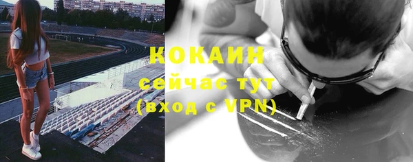 а пвп мука Гусь-Хрустальный